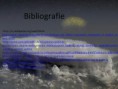 /album/galerie-foto-proiect-imagini/pag18-jpg1/
